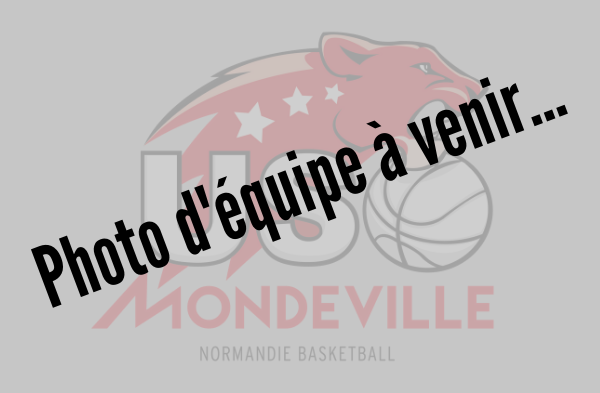 logo 23