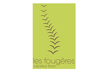 Les Fougères